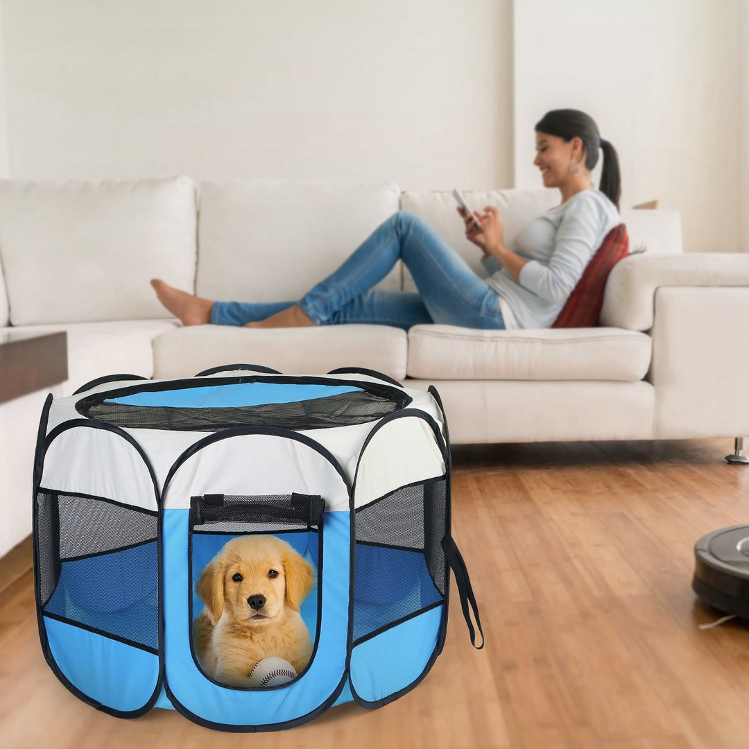 Blue and white foldable pet tent kennel with mesh sides and dog inside