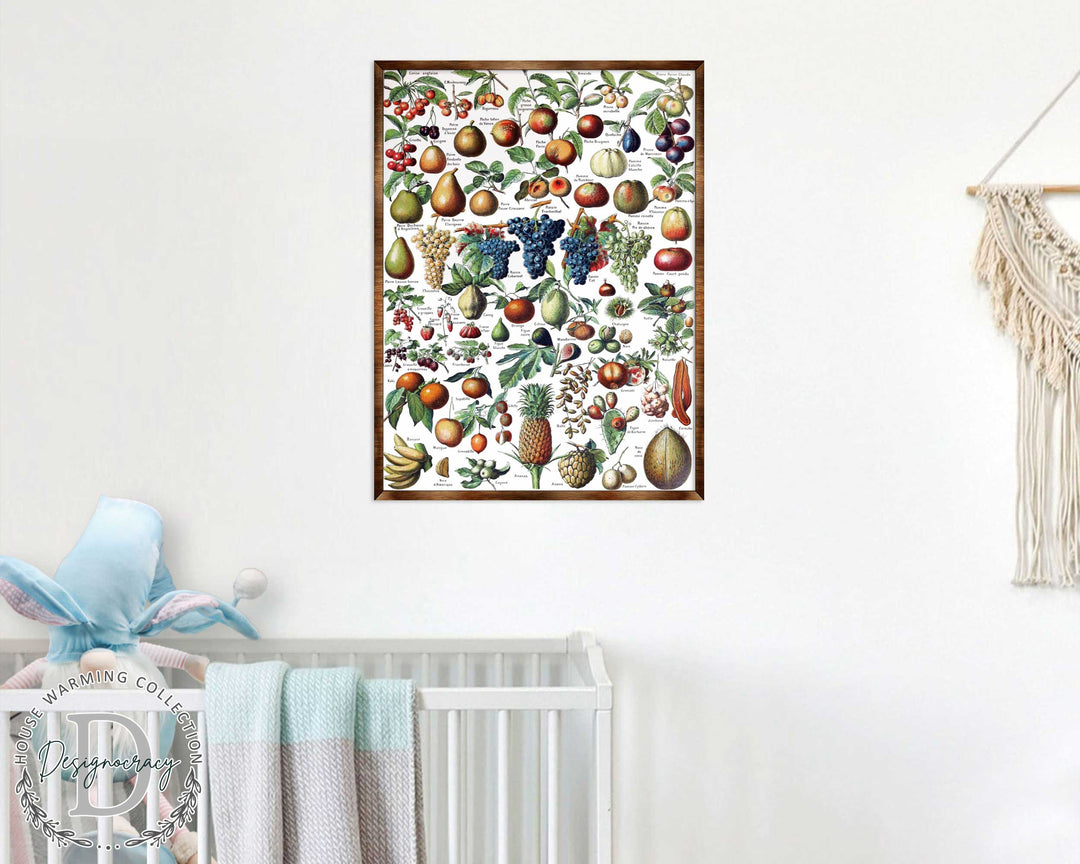 Wood-framed fruit educational poster with fruit and leaf collage illustration, wall-mounted