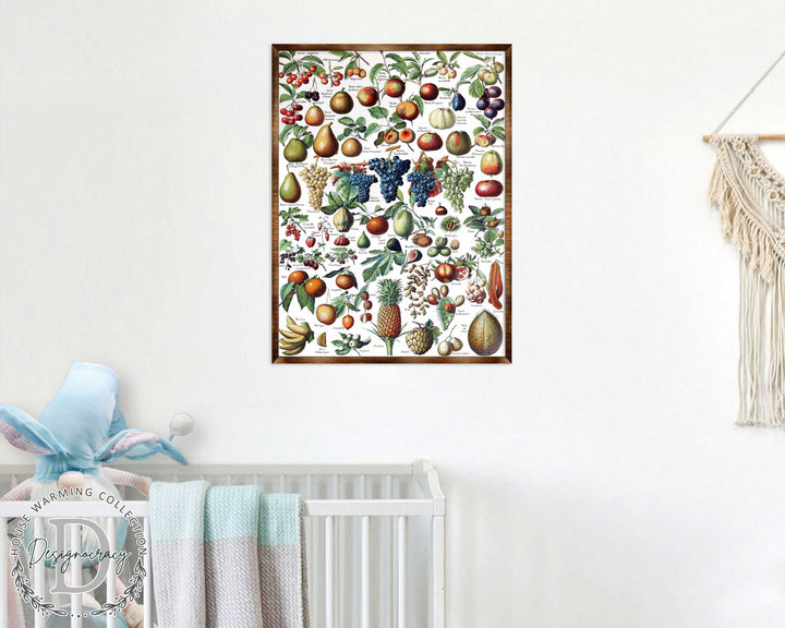 Wood-framed fruit educational poster with fruit and leaf collage illustration, wall-mounted