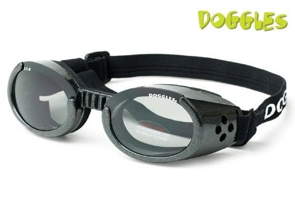 Protective dog goggles with black frame, clear lens, and adjustable strap
