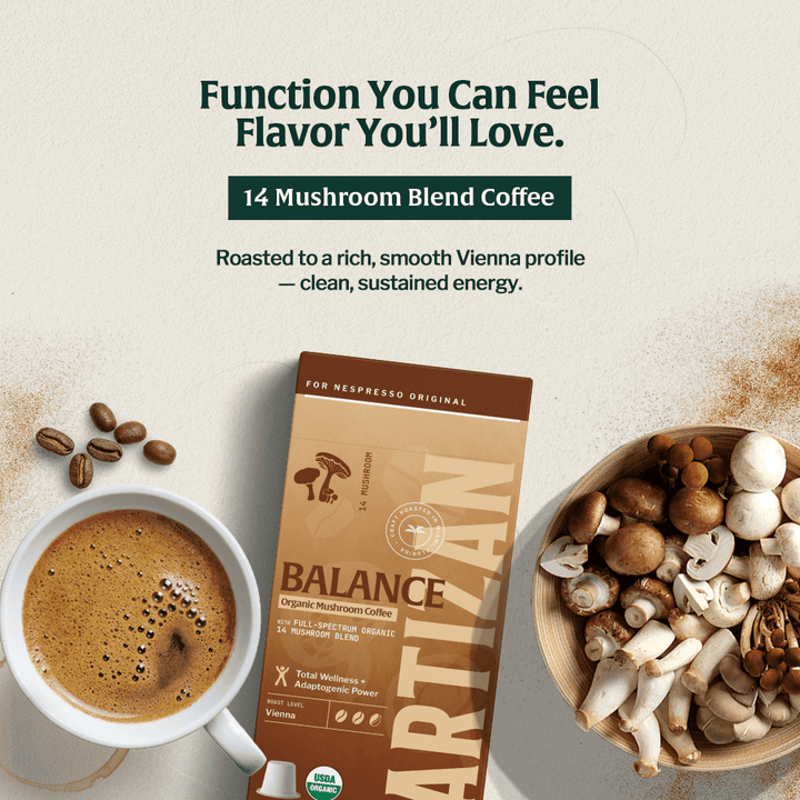 Balance organic mushroom coffee pack with cup and assorted mushrooms