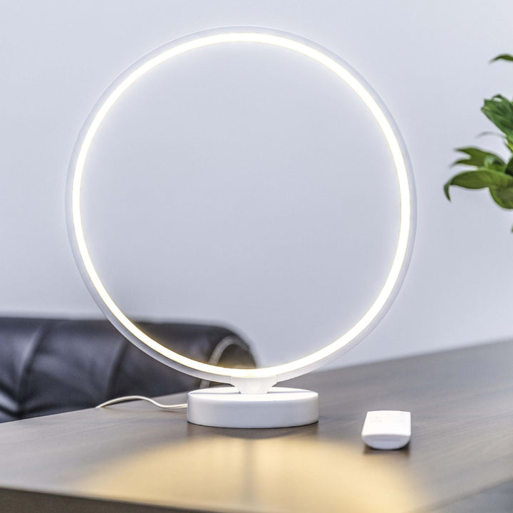Full Moon Eclipse Lamp