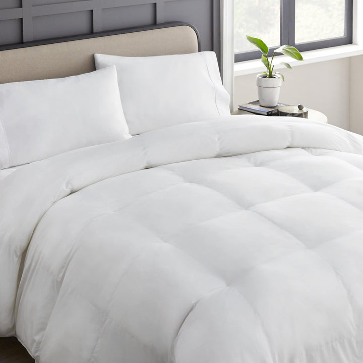 Organic Cotton Comforter