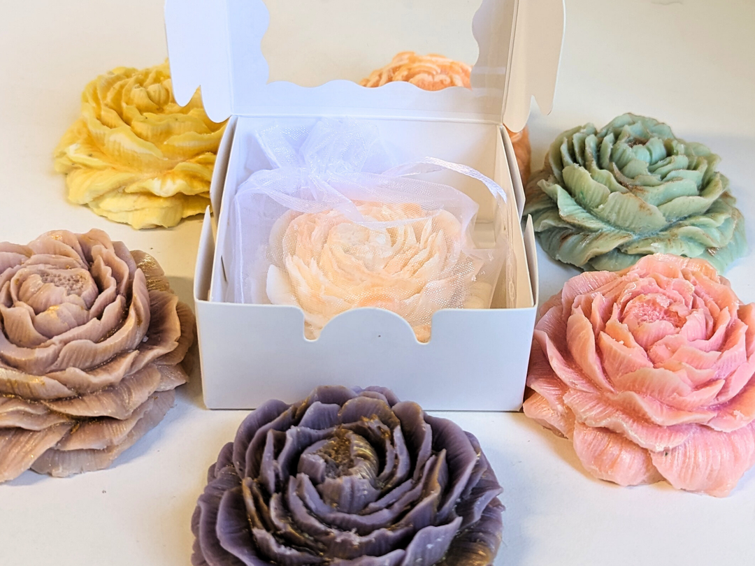 White display box holding multiple pastel wax flower fresheners