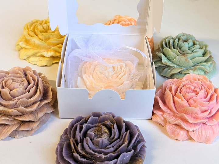 White display box holding multiple pastel wax flower fresheners