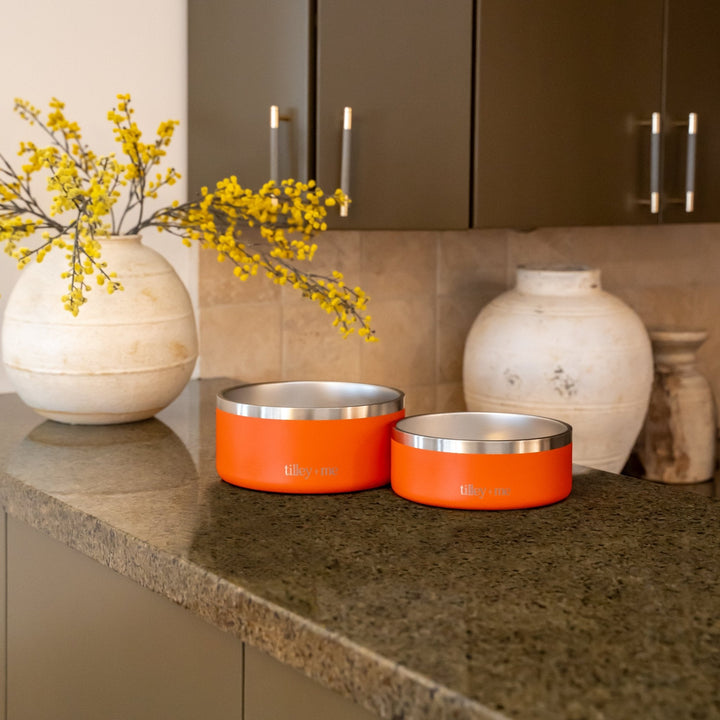 Tilley + Me Stainless Steel Pet Bowl (32 oz and 64 oz)