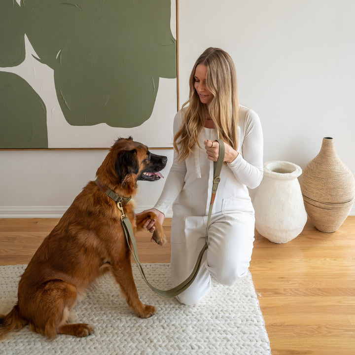 Tilley + Me Joshua Tree Hemp Cotton Dog Collar