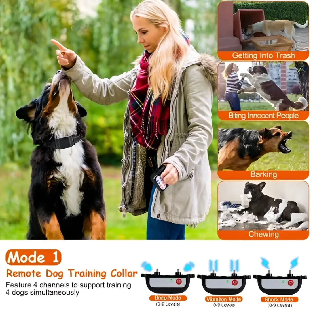 Black wireless dog training collar on a dog with a leash held by a person