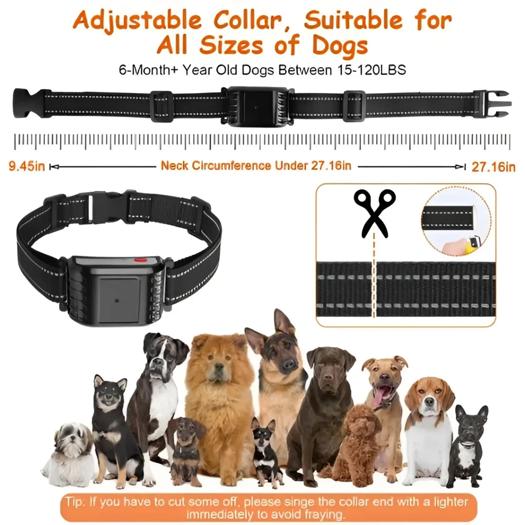 Adjustable black dog training collar with buckle and electronic module