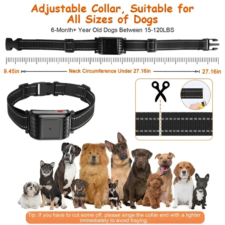 Adjustable black dog training collar with buckle and electronic module