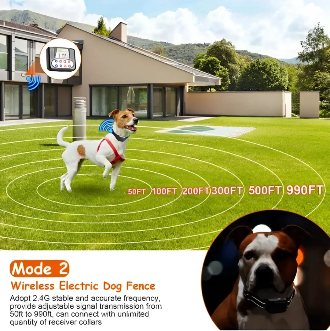 Black wireless training collar on a standing dog in an outdoor yard