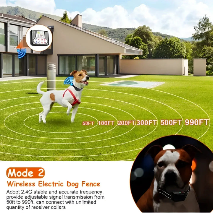 Black wireless training collar on a standing dog in an outdoor yard