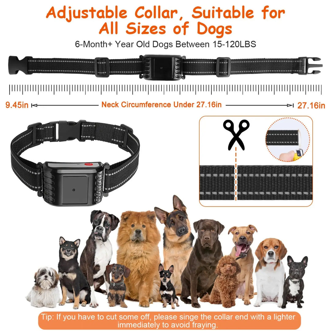 Adjustable black training collar with buckle and size guide for dog neck fit