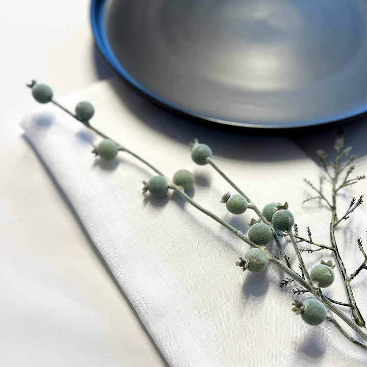 French Linen Napkin  (Set of 4)