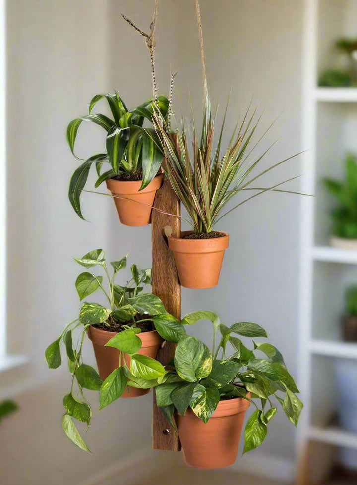 6 Pot Hanging Plant Holder - 3 piece set — plant holder, [material], Kalmar Home
