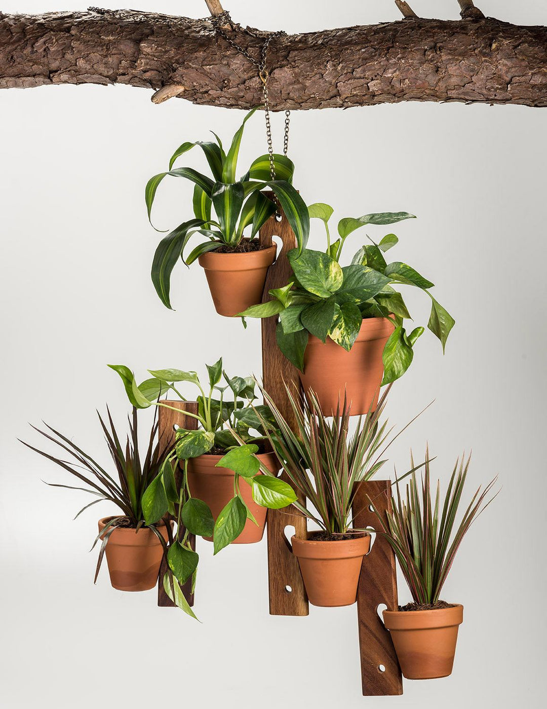 6 Pot Hanging Plant Holder - 3 piece set — plant holder, [material], Kalmar Home