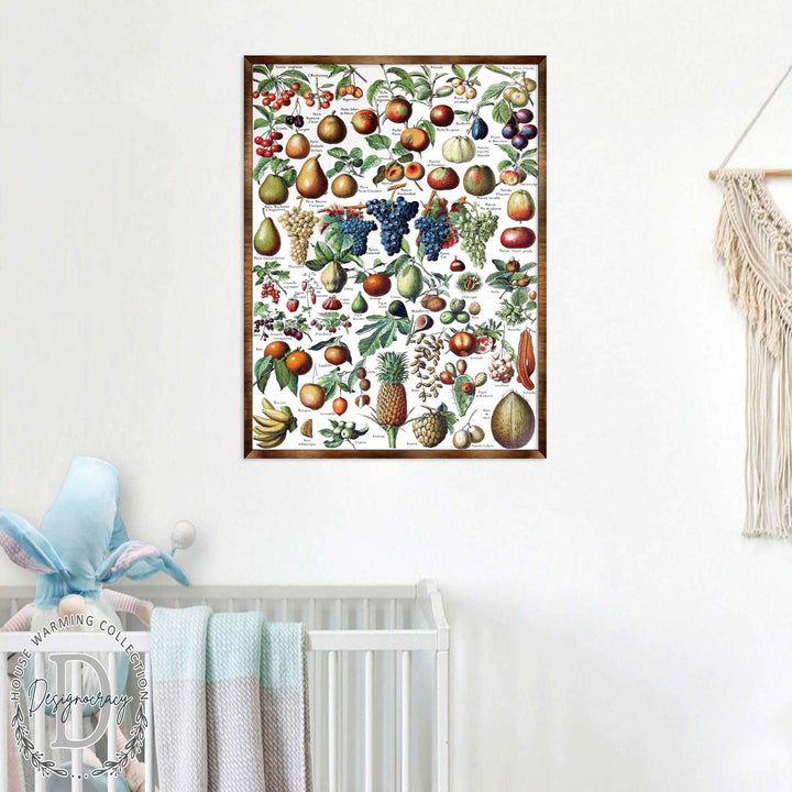 Wood-framed fruit educational poster with fruit and foliage collage, wall-mounted