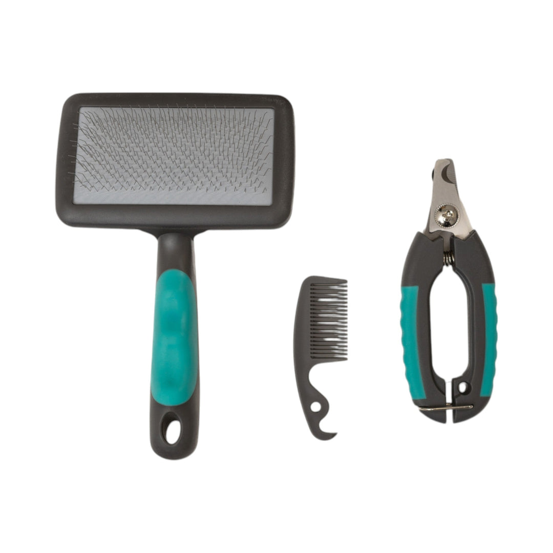 Teal-and-black pet slicker brush, comb, and nail clippers set