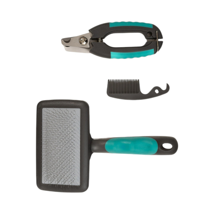 Pet grooming tools set: nail clippers, comb, and slicker brush with teal handles