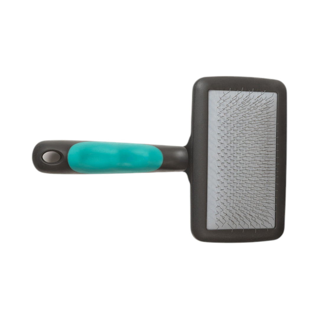 Pet slicker brush with gray bristles and teal handle, black grip