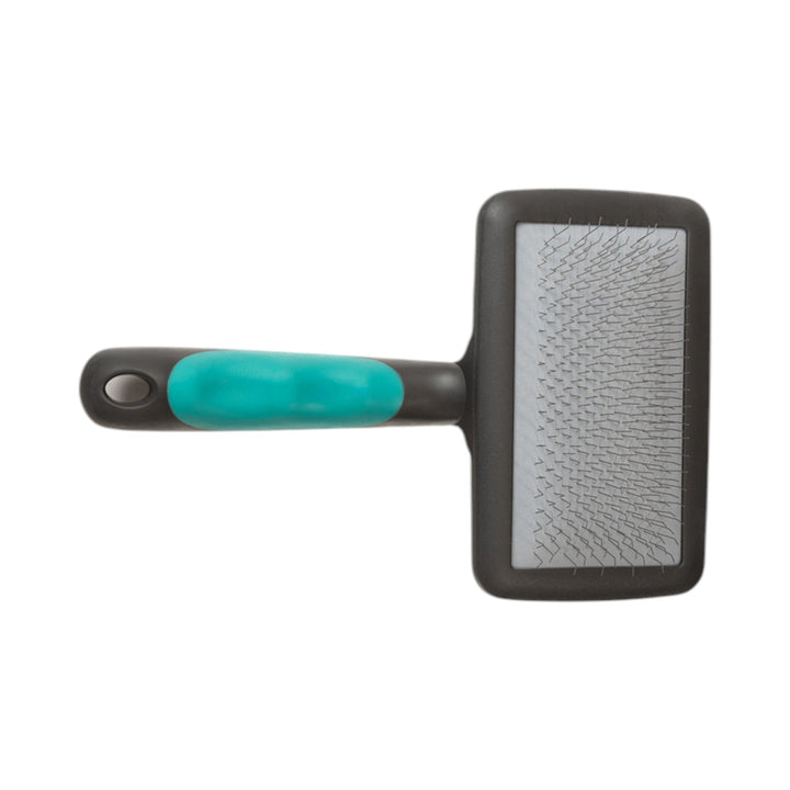 Pet slicker brush with gray bristles and teal handle, black grip