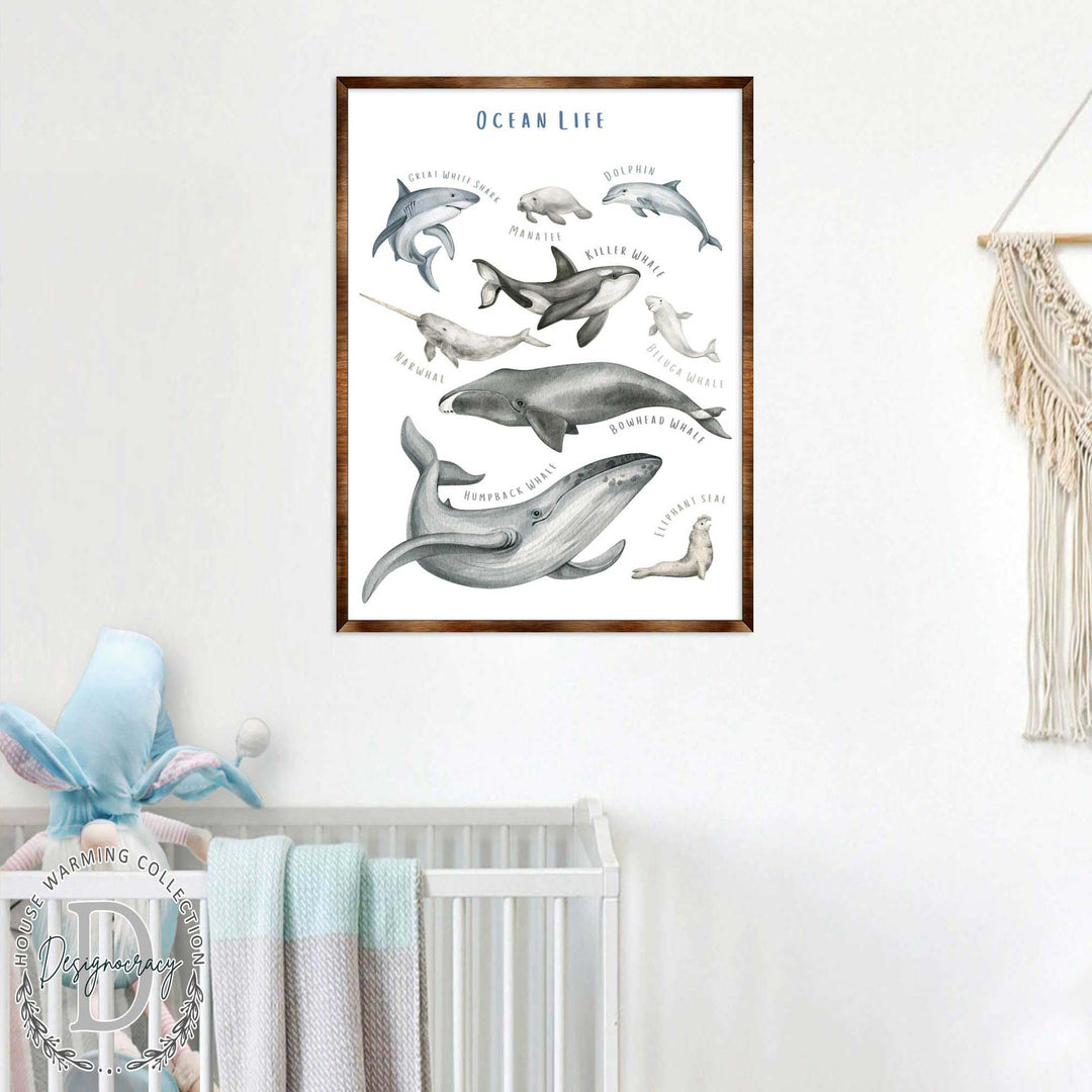 Wood-framed ocean life poster with gray sea animals and 'OCEAN LIFE' title