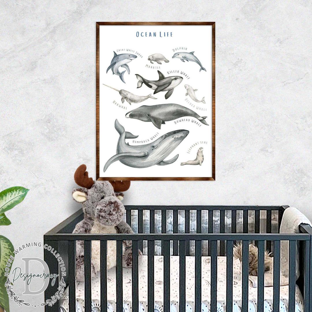 Wood-framed ocean animal educational poster above a crib, featuring dolphins and whales