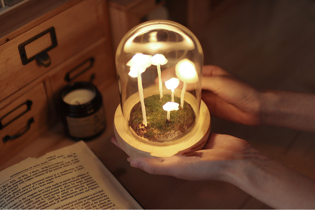 Mushroom Colony Biome Lamp