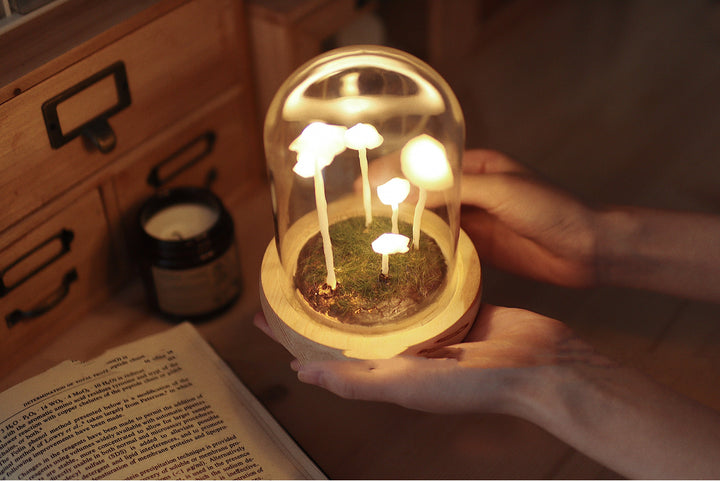 Mushroom Colony Biome Lamp