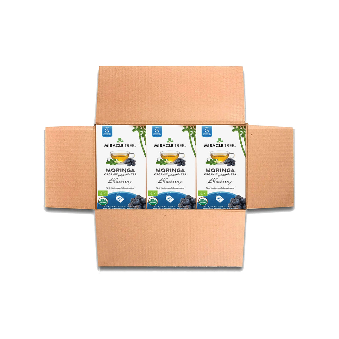 Organic Moringa Tea - Blueberry - Caffeine-Free Herbal Tea