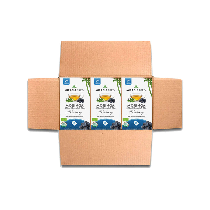 Organic Moringa Tea - Blueberry - Caffeine-Free Herbal Tea