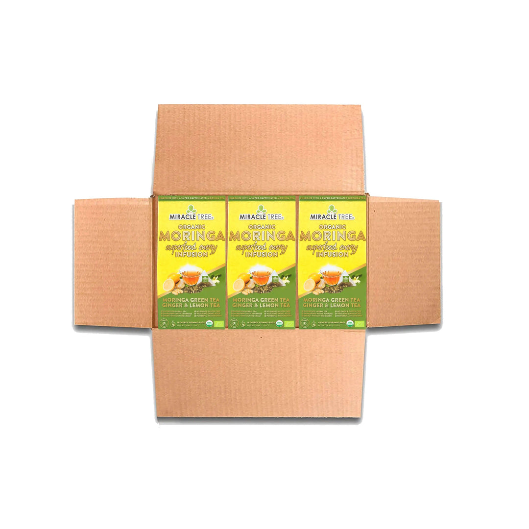 Cardboard tea box with three Miracle Tree organic moringa ginger & lemon tea bags