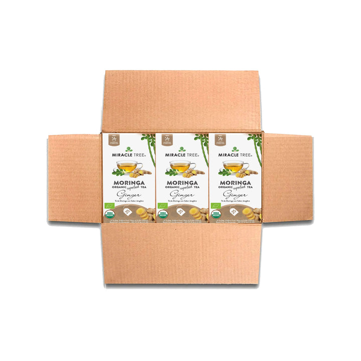 Organic Moringa Tea - Ginger - Caffeine-Free Herbal Tea