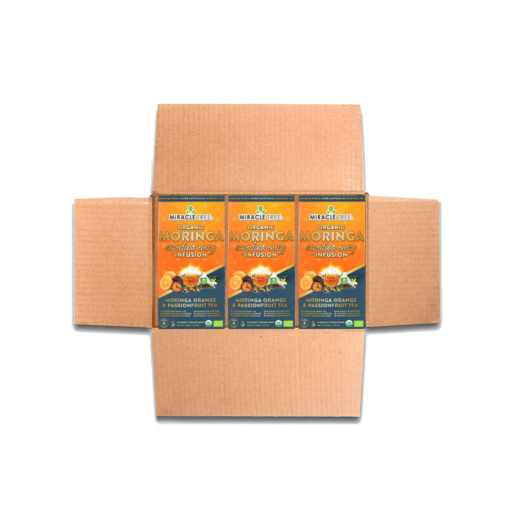 Miracle Tree Organic Moringa tea pouch three-pack in cardboard shipper