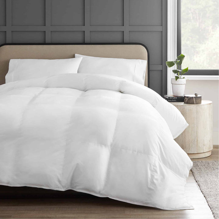 Organic Cotton Comforter