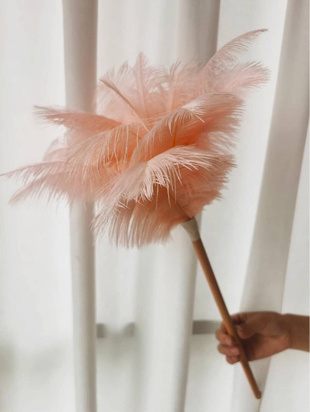 Pink ostrich feather duster head reaching between curtains; wooden handle shown