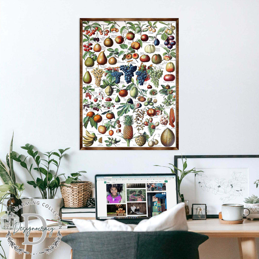 Wood-framed fruit educational poster with illustrated fruits and vines, centered