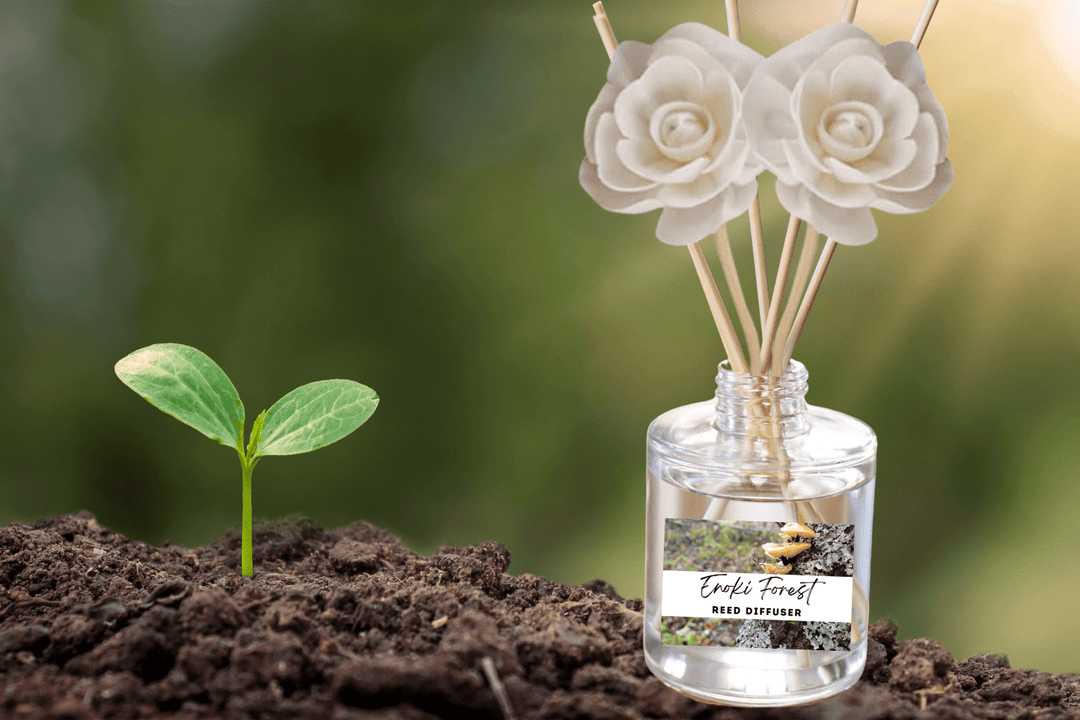 Exotic & Escape Reed Diffuser Collection – Tropical Scents with Mango, Pineapple, Hibiscus & Coconut