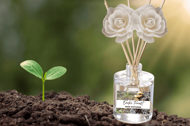 Nature & Earth Reed Diffuser Collection – Forest-Inspired Aromas with Earthy Greens, Woods & Misty Air