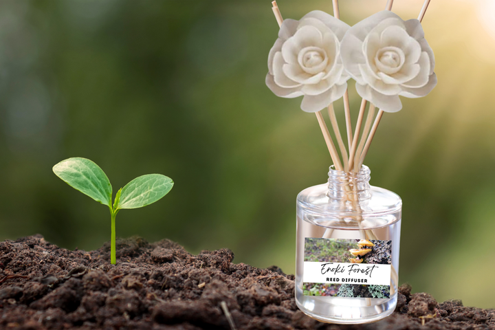 Clear reed diffuser jar with white rose-shaped reeds and golden liquid