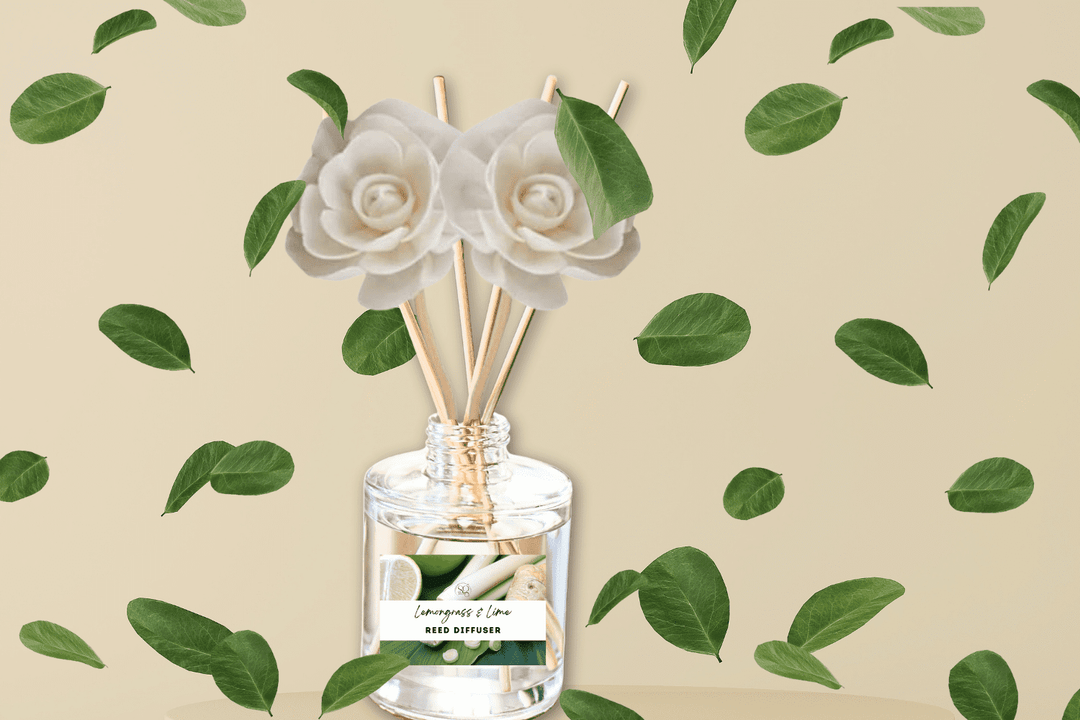 Nature & Earth Reed Diffuser Collection – Forest-Inspired Aromas with Earthy Greens, Woods & Misty Air