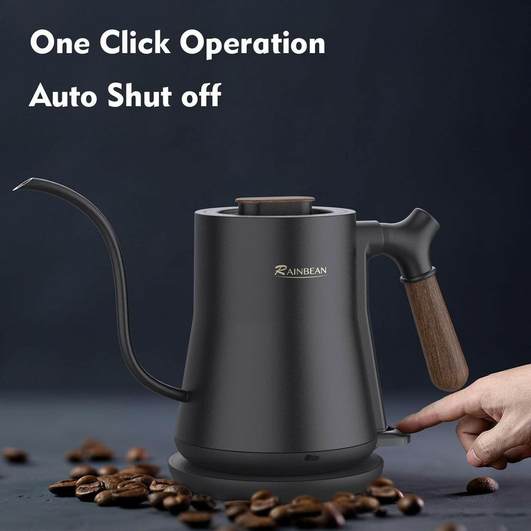 Gooseneck Electric Kettle—1.0L
