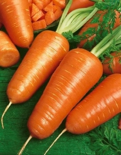Orange carrot bunch on green leaves, showing tapered roots