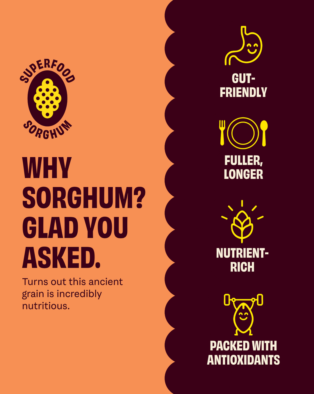 Seriously Cheesy snack pack label with gut-friendly and nutrient-rich icons