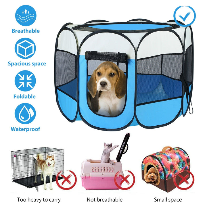 Portable foldable pet tent with mesh panels and zip front door, blue and white.