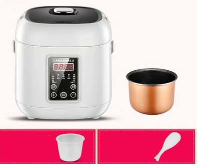 Mini Multi‑Function Rice Cooker