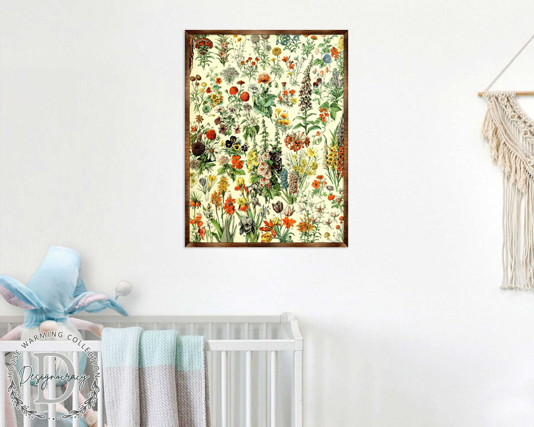 Floral educational poster with detailed garden plants in dark wooden frame