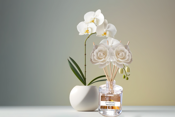 Reed diffuser bottle with wooden reeds, white rose orchid flowers in a vase