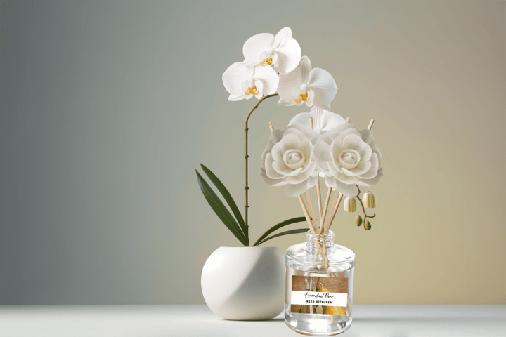 Exotic & Escape Reed Diffuser Collection – Tropical Scents with Mango, Pineapple, Hibiscus & Coconut