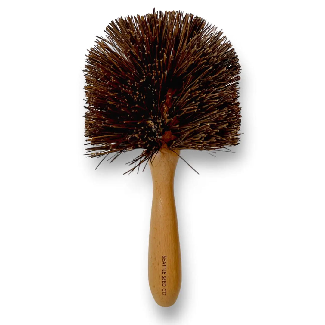 Plant pot cleaning brush with wooden handle and stiff brown bristles